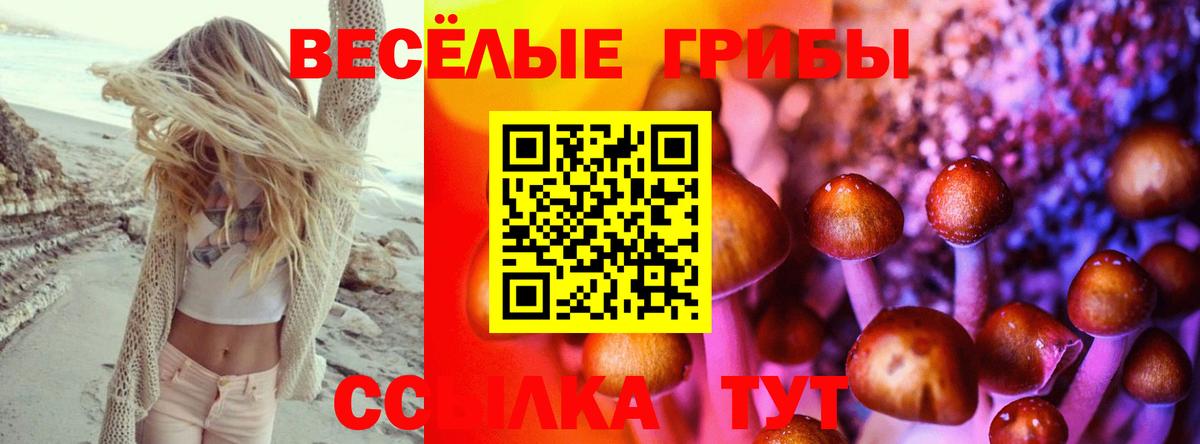 Галлюциногенные грибы мицелий  Вход с VPN  Ноябрьск 